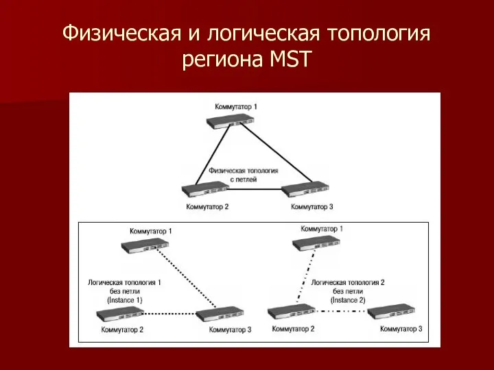 Физическая и логическая топология региона MST