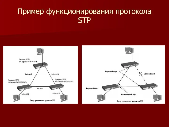 Пример функционирования протокола STP