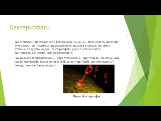 Бактериофаги. Бактериофаги переводятся с греческого языка как "пожиратель бактерий". Они относятся к