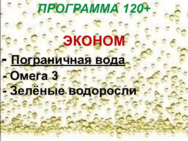 ПРОГРАММА 120+ ЭКОНОМ Пограничная вода Омега 3 Зелёные водоросли