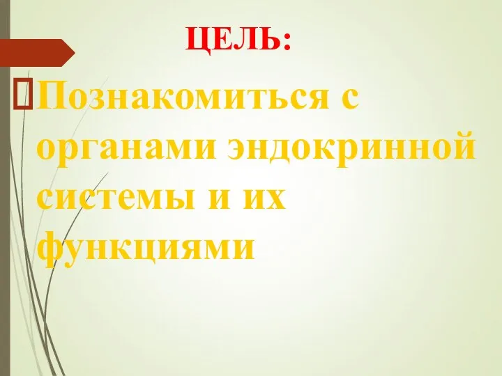 ЦЕЛЬ: Познакомиться с органами эндокринной системы и их функциями