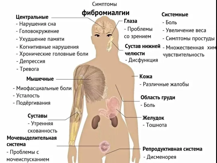 Здоровый сустав Начальные изменения Выраженные изменения Конечная стадия