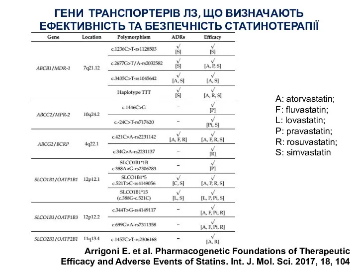 ГЕНИ ТРАНСПОРТЕРІВ ЛЗ, ЩО ВИЗНАЧАЮТЬ ЕФЕКТИВНІСТЬ ТА БЕЗПЕЧНІСТЬ СТАТИНОТЕРАПІЇ A: atorvastatin; F: