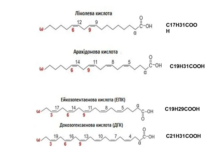 С19Н31COOH С17Н31COOH С21Н31COOH С19Н29COOH