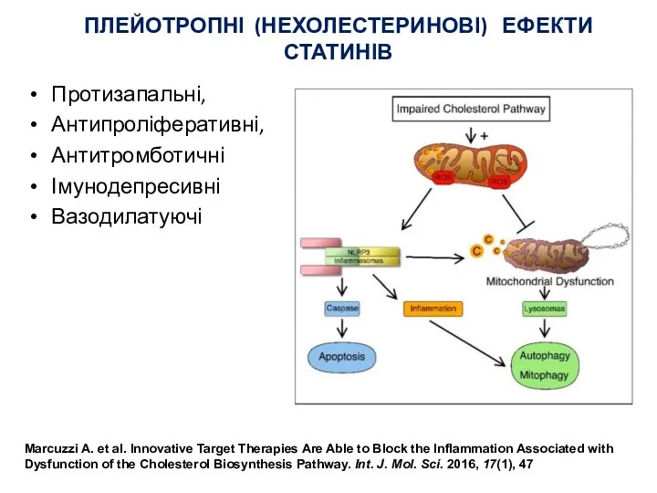 Протизапальні, Антипроліферативні, Антитромботичні Імунодепресивні Вазодилатуючі ПЛЕЙОТРОПНІ (НЕХОЛЕСТЕРИНОВІ) ЕФЕКТИ СТАТИНІВ Marcuzzi A. et