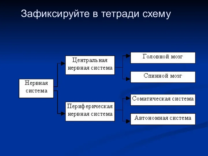 Зафиксируйте в тетради схему