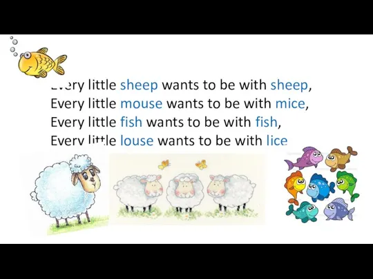 Every little sheep wants to be with sheep, Every little mouse wants