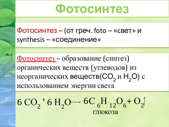 Фотосинтез – (от греч. foto – «cвет» и synthesis – «соединение» 6