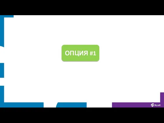 ОПЦИЯ #1