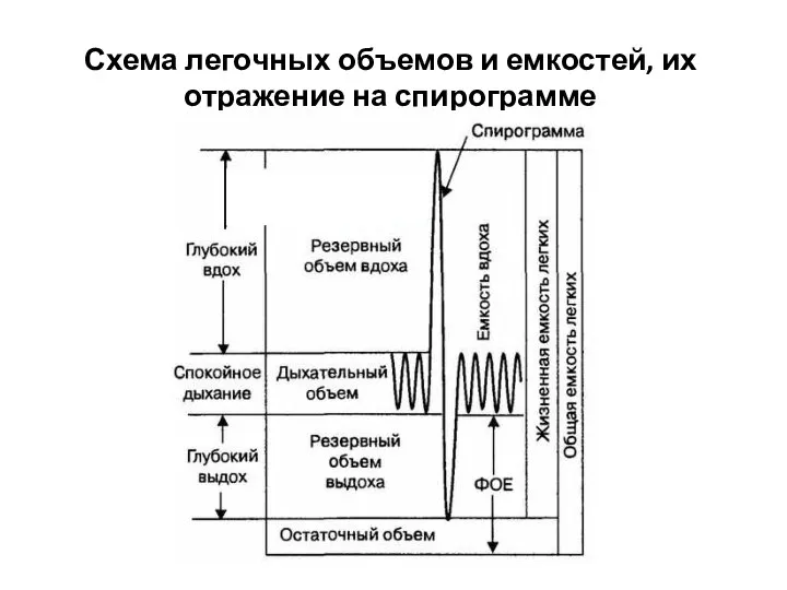 Схема легочных объемов и емкостей, их отражение на спирограмме