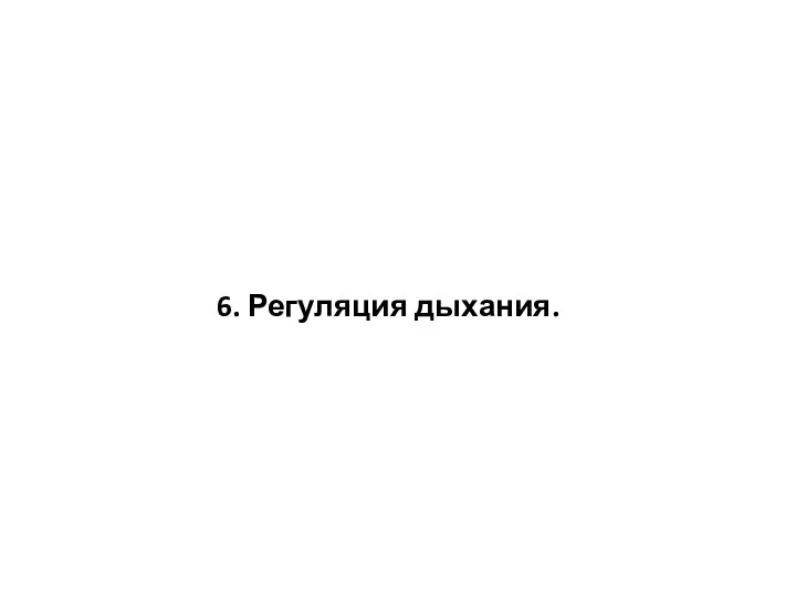 6. Регуляция дыхания.