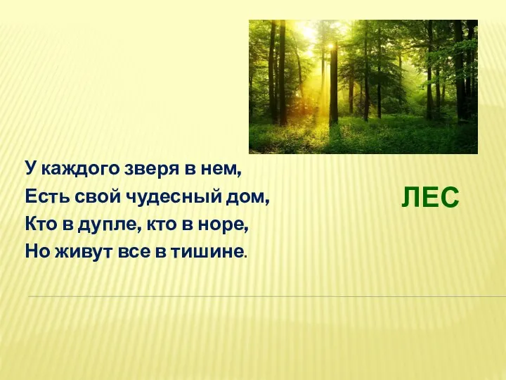 У каждого зверя в нем, Есть свой чудесный дом, Кто в дупле,