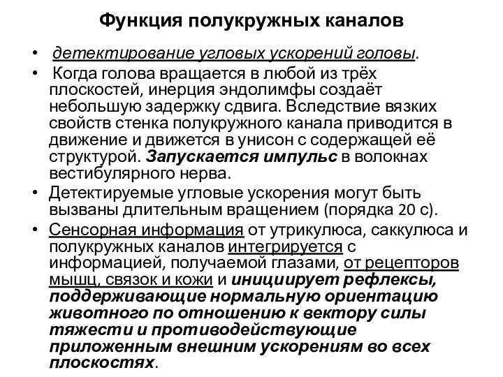 Функция полукружных каналов детектирование угловых ускорений головы. Когда голова вращается в любой