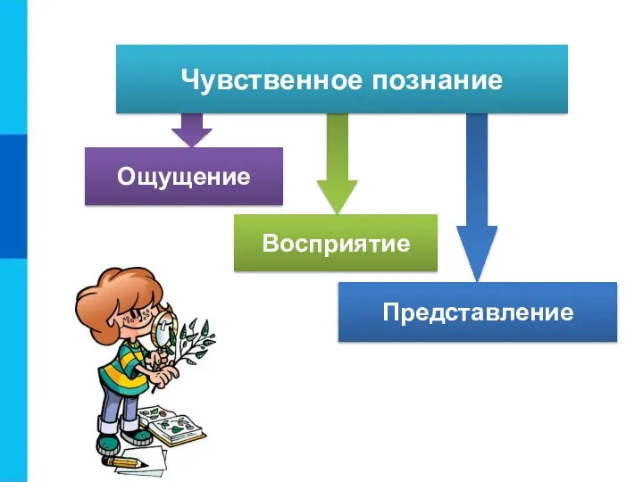 Чувственное познание