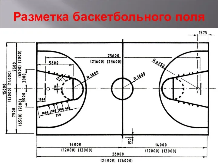 Разметка баскетбольного поля