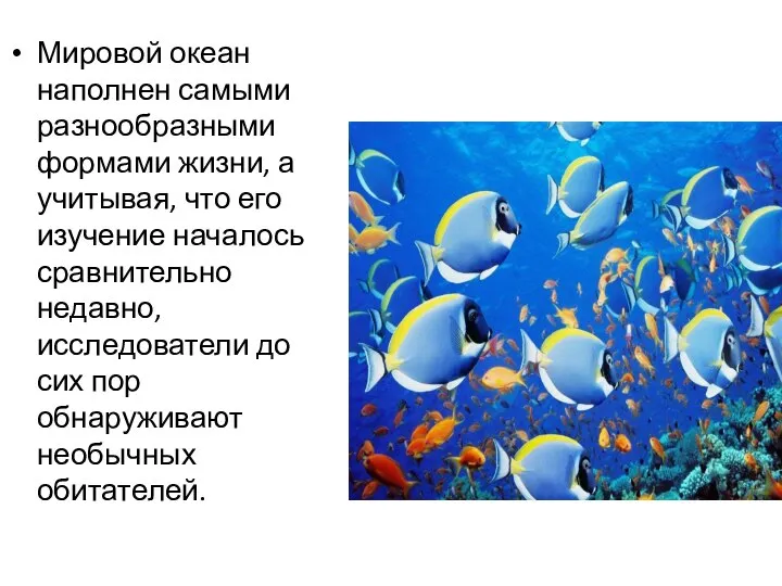 Мировой океан наполнен самыми разнообразными формами жизни, а учитывая, что его изучение