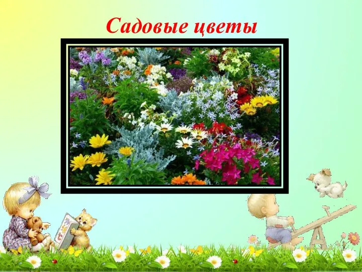Садовые цветы