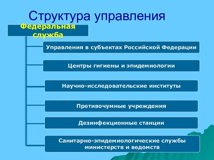 Структура управления Федеральная служба Управления в субъектах Российской Федерации Центры гигиены и