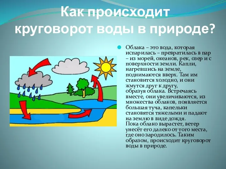 Как происходит круговорот воды в природе? Облака – это вода, которая испарилась