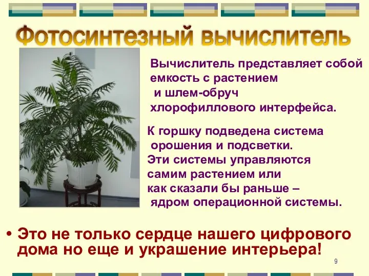 Фотосинтезный вычислитель Это не только сердце нашего цифрового дома но еще и