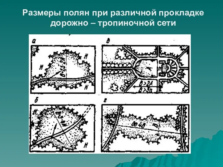 Размеры полян при различной прокладке дорожно – тропиночной сети