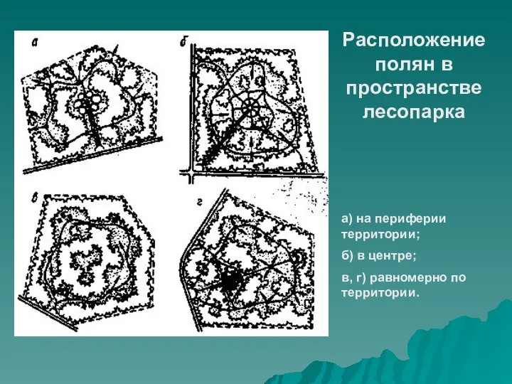 Расположение полян в пространстве лесопарка а) на периферии территории; б) в центре;