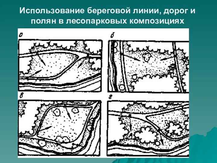 Использование береговой линии, дорог и полян в лесопарковых композициях