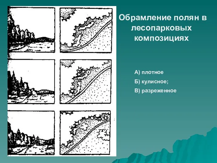 Обрамление полян в лесопарковых композициях А) плотное Б) кулисное; В) разреженное