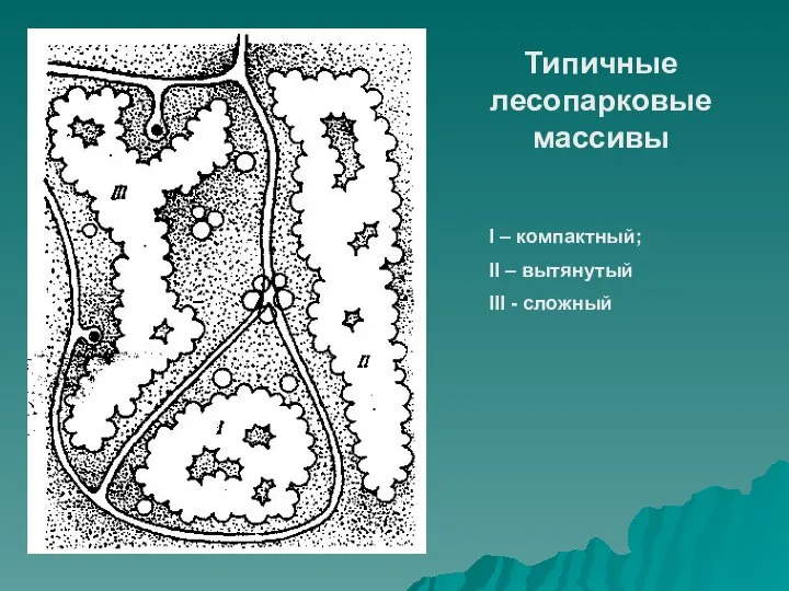 Типичные лесопарковые массивы I – компактный; II – вытянутый III - сложный