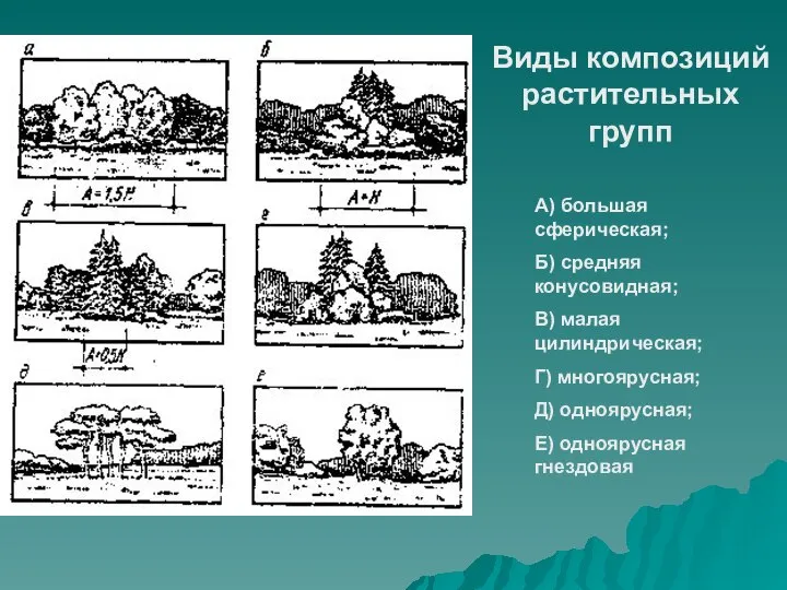 Виды композиций растительных групп А) большая сферическая; Б) средняя конусовидная; В) малая