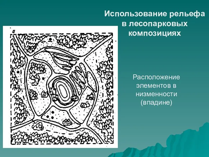 Расположение элементов в низменности (впадине) Использование рельефа в лесопарковых композициях