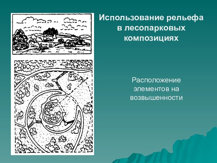 Использование рельефа в лесопарковых композициях Расположение элементов на возвышенности