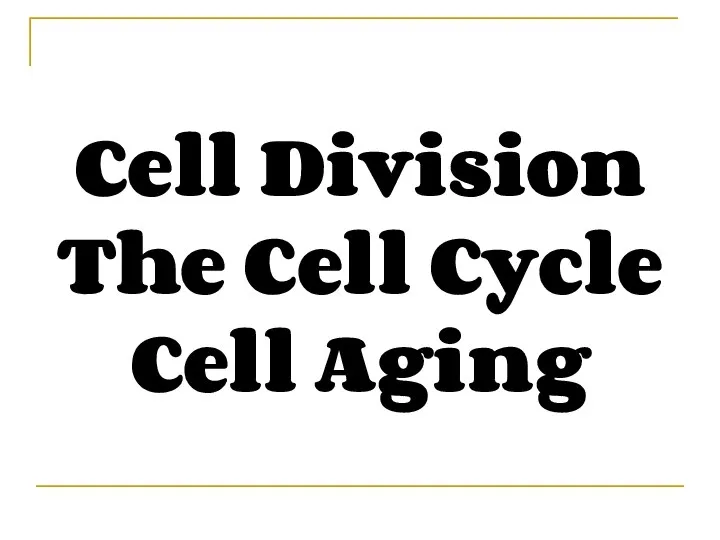 Cell Division The Cell Cycle Cell Aging