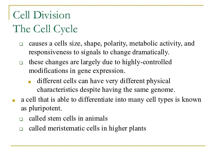 Cell Division The Cell Cycle causes a cells size, shape, polarity, metabolic