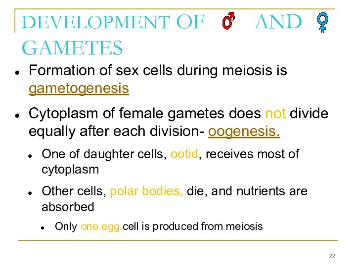 DEVELOPMENT OF AND GAMETES Formation of sex cells during meiosis is gametogenesis