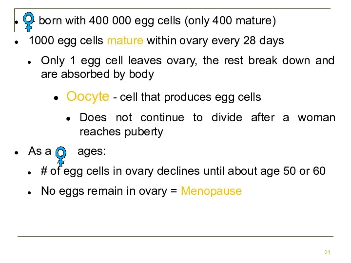 - born with 400 000 egg cells (only 400 mature) 1000 egg