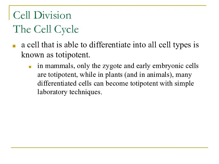 Cell Division The Cell Cycle a cell that is able to differentiate