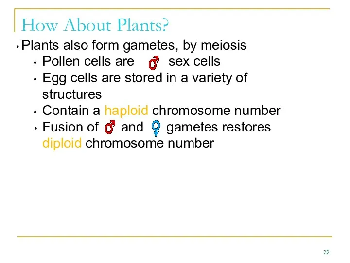 How About Plants? Plants also form gametes, by meiosis Pollen cells are