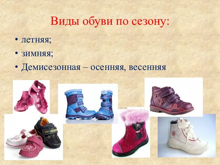 Виды обуви по сезону: летняя; зимняя; Демисезонная – осенняя, весенняя