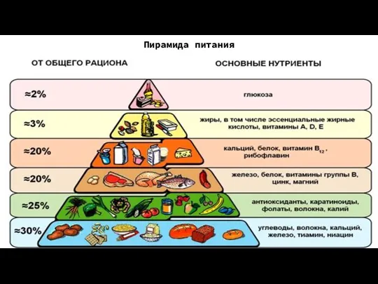 Пирамида питания