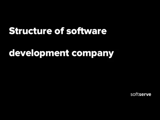 Structure of software development company