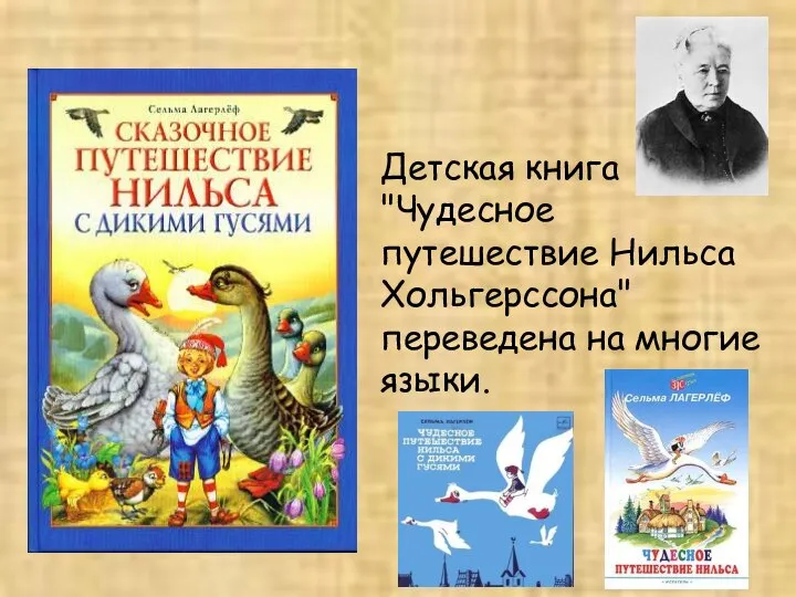 Детская книга "Чудесное путешествие Нильса Хольгерссона" переведена на многие языки.