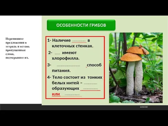 21.04.2020 Перепишите предложения в тетрадь и вставь пропущенные слова, подчеркните их.