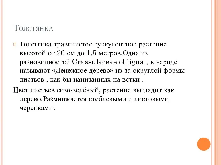 Толстянка Толстянка-травянистое суккулентное растение высотой от 20 см до 1,5 метров.Одна из