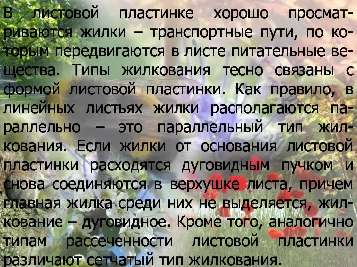 В листовой пластинке хорошо просмат-риваются жилки – транспортные пути, по ко-торым передвигаются