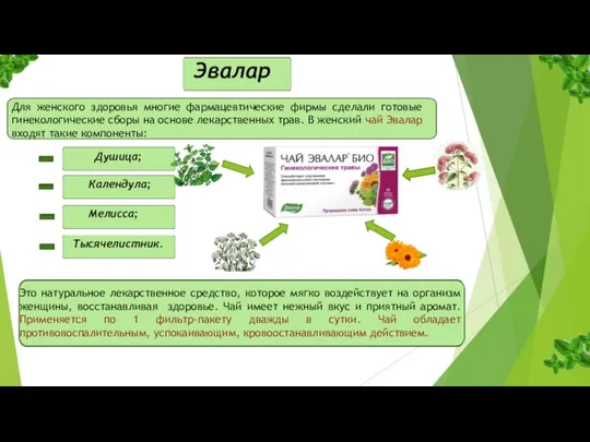 Эвалар Для женского здоровья многие фармацевтические фирмы сделали готовые гинекологические сборы на