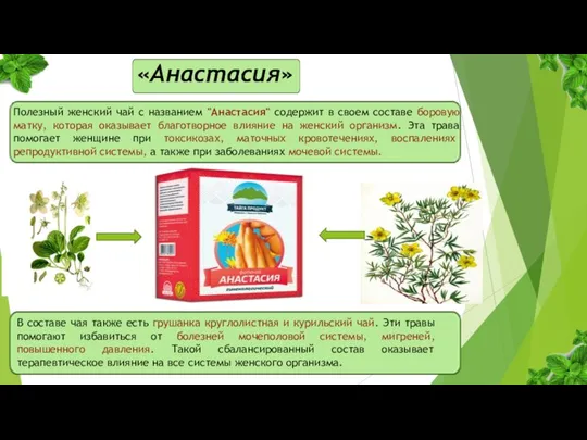 «Анастасия» Полезный женский чай с названием "Анастасия" содержит в своем составе боровую