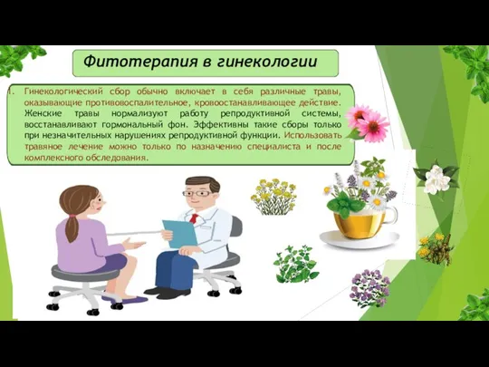 Фитотерапия в гинекологии Гинекологический сбор обычно включает в себя различные травы, оказывающие