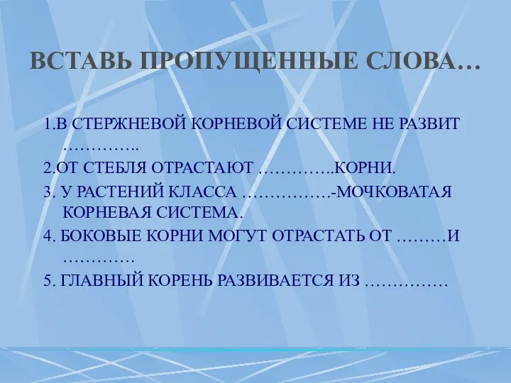 ВСТАВЬ ПРОПУЩЕННЫЕ СЛОВА… 1.В СТЕРЖНЕВОЙ КОРНЕВОЙ СИСТЕМЕ НЕ РАЗВИТ ………….. 2.ОТ СТЕБЛЯ