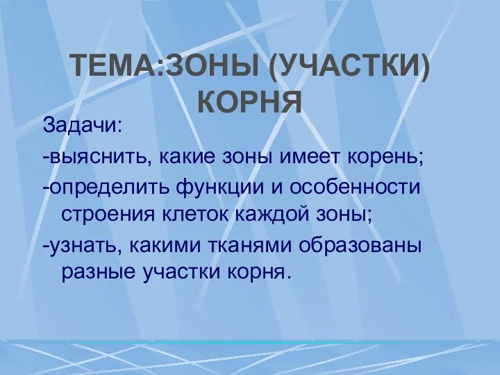 ТЕМА:ЗОНЫ (УЧАСТКИ) КОРНЯ Задачи: -выяснить, какие зоны имеет корень; -определить функции и